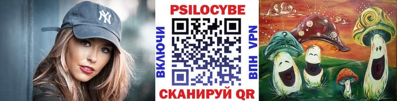Псилоцибиновые грибы Psilocybine cubensis  Южноуральск 