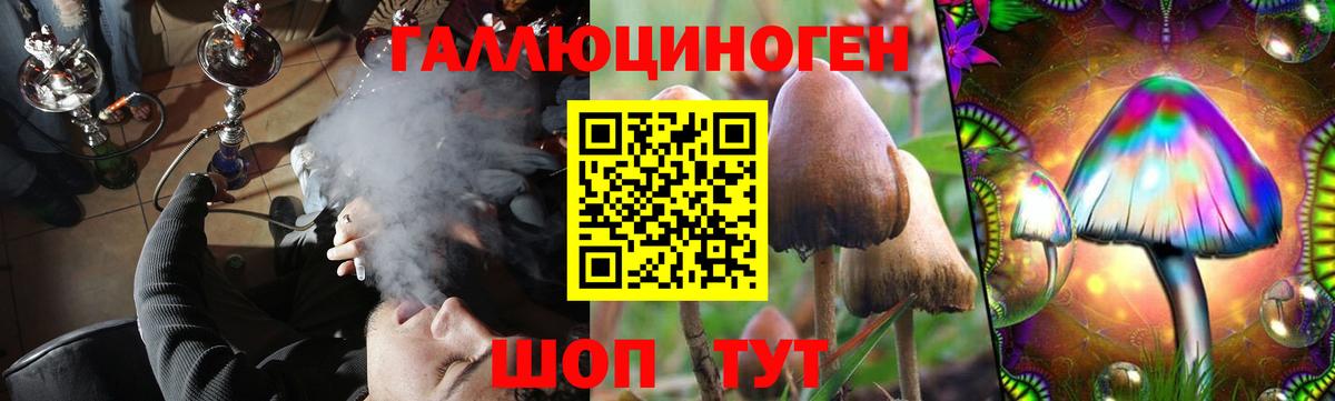 Галлюциногенные грибы GOLDEN TEACHER Южноуральск